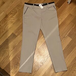 ANN TAYLOR MODERN FIT ANKLE LENGTH KHAKI WOMENS 10